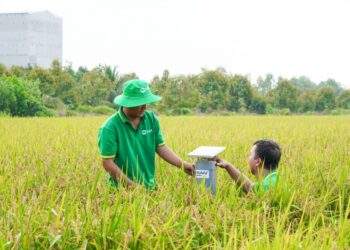 Vietnam to pilot 15 carbon credit farming models