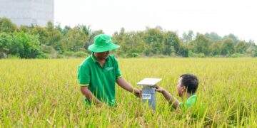 Vietnam to pilot 15 carbon credit farming models