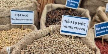 5 ngành hàng tỉ đô kiến nghị Quốc hội gỡ khó thuế GTGT