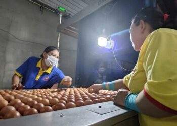 Ba Huân bị nợ thuế hơn 51 tỉ đồng và những thông tin cần biết