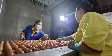 Ba Huân bị nợ thuế hơn 51 tỉ đồng và những thông tin cần biết