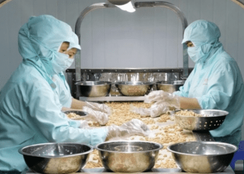 Ba nông sản Việt Nam cùng phá kỷ lục, dự báo đem về hơn 14 tỷ USD