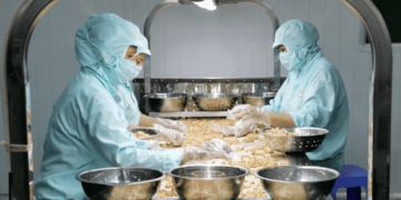 Ba nông sản Việt Nam cùng phá kỷ lục, dự báo đem về hơn 14 tỷ USD