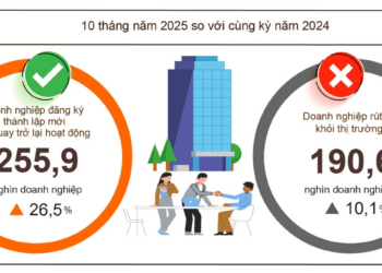 Tình hình đăng ký kinh doanh 10 tháng năm 2025.