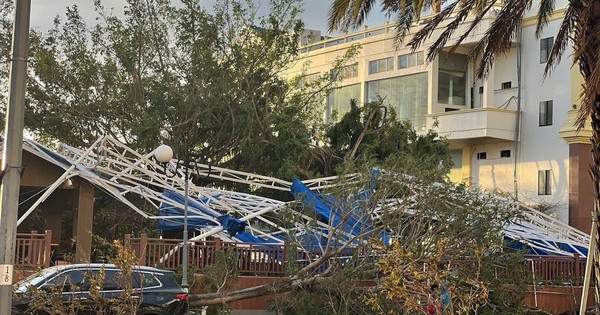 Bão số 13 tàn phá Gia Lai, nông trường chuối của Bầu Đức ra sao?