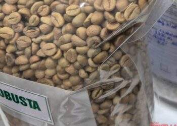 Cà phê Việt được săn đón