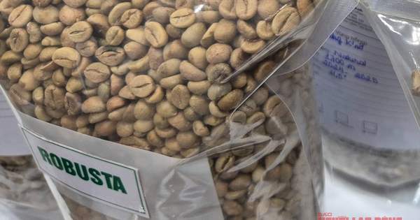 Cà phê Việt được săn đón