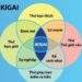 Chạm đến 'Ikigai' cùng Dai-ichi Life Việt Nam