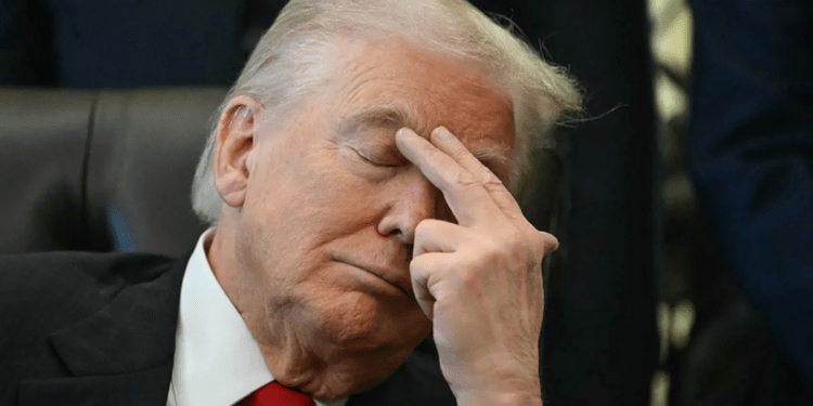 Chatbot AI của Truth Social 'nổi loạn', phản bác hàng loạt tuyên bố của chính ông Trump