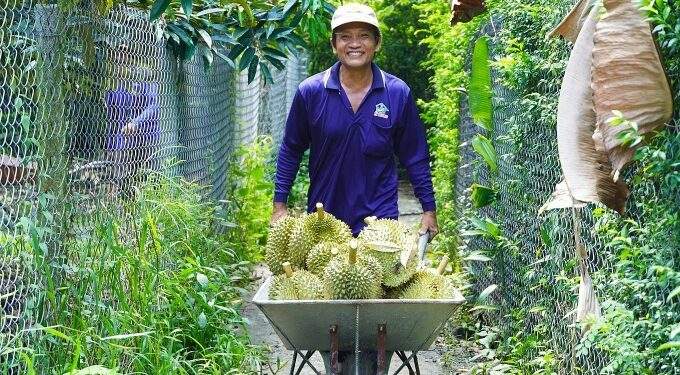 China buys nearly $1B worth of Vietnamese durian in September