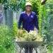 China buys nearly $1B worth of Vietnamese durian in September