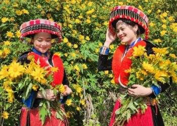 Chính sách mới có hiệu lực từ tháng 12/2025