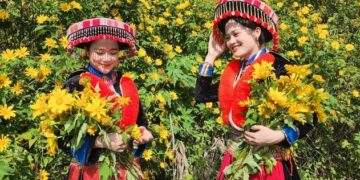 Chính sách mới có hiệu lực từ tháng 12/2025