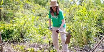 Chương trình Vững - Xanh: Khi công nghệ kết nối cộng đồng vì môi trường