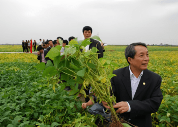 Đổi mới cơ chế khoa học công nghệ, thúc đẩy phát triển nông nghiệp xanh