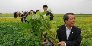 Đổi mới cơ chế khoa học công nghệ, thúc đẩy phát triển nông nghiệp xanh