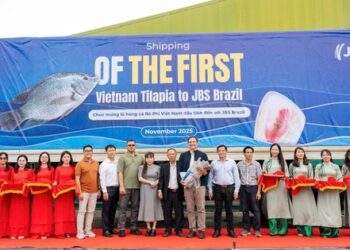 Đơn hàng 700 tấn cá rô phi Việt Nam lần đầu vào Brazil: Ai đứng sau?