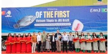 Đơn hàng 700 tấn cá rô phi Việt Nam lần đầu vào Brazil: Ai đứng sau?