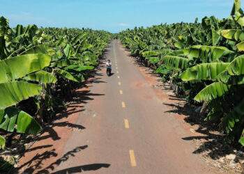 Đồng Nai hợp tác với một thành phố của Nhật Bản để cùng tăng trưởng xanh