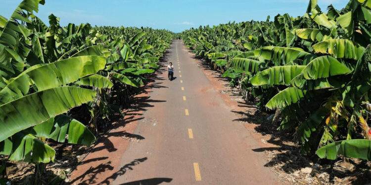 Đồng Nai hợp tác với một thành phố của Nhật Bản để cùng tăng trưởng xanh