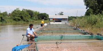 Đồng Nai ứng dụng công nghệ cao trong thủy sản, giúp tăng sản lượng và doanh thu