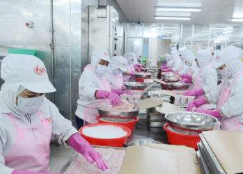 Đồng Tháp tăng tốc công nghiệp, hướng tới nền kinh tế xanh và bền vững