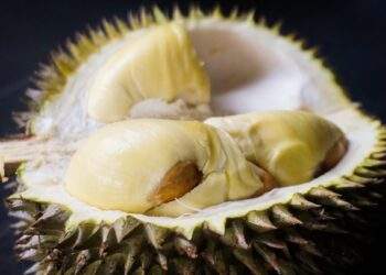 Durian export to China resumes after hiatus