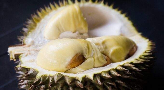 Durian export to China resumes after hiatus