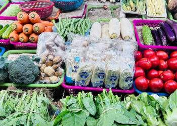 Giá rau xanh có loại 180.000 đồng/kg, tôm hùm chỉ còn 200.000 đồng/kg