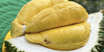 Government orders probe into durian chemical testing disruption