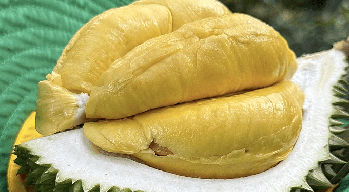 Government orders probe into durian chemical testing disruption