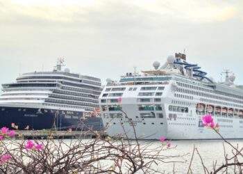 Halong Cruise Port welcomes over 3,100 international visitors