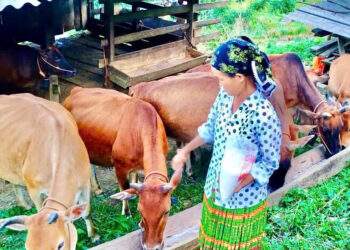 Hành trình đổi thay từ nghèo khó đến phát triển