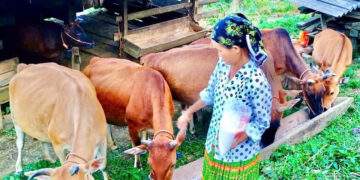 Hành trình đổi thay từ nghèo khó đến phát triển