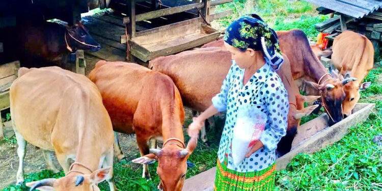 Hành trình đổi thay từ nghèo khó đến phát triển