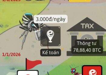 Nguồn: hkdo.vn và hokinhdoanh.online