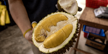 Indonesian minister slams Malaysia’s bid to make durian national fruit