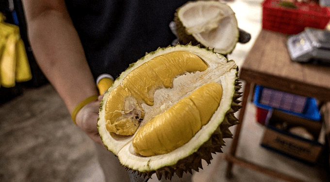 Indonesian minister slams Malaysia’s bid to make durian national fruit