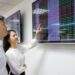 Investor accounts surge as stock market breaks records