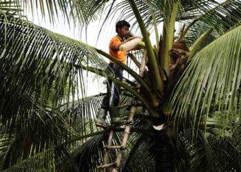 Khi ‘nỗi đau’ trở thành cơ hội làm giàu