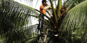 Khi ‘nỗi đau’ trở thành cơ hội làm giàu