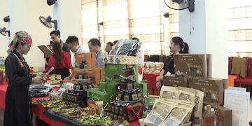 Lai Châu quảng bá, tôn vinh sản phẩm nông nghiệp tiêu biểu năm 2025