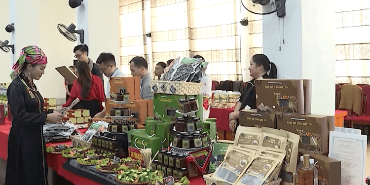 Lai Châu quảng bá, tôn vinh sản phẩm nông nghiệp tiêu biểu năm 2025