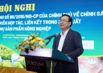 Thứ trưởng Võ Văn Hưng: Năng lực của nhiều hợp tác xã còn yếu, chưa đủ sức trở thành trung tâm của liên kết.