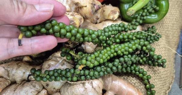 Mỹ chính thức miễn thuế đối ứng với cà phê, tiêu