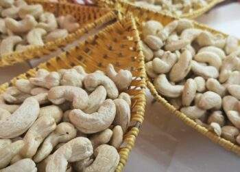 Ngành điều VIệt Nam làm nên "kỳ tích"