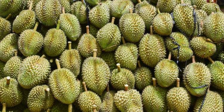 Nhiều lần ‘báo động khẩn’