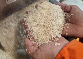 Những loại gạo nào có cơ hội ở thị trường nhập khẩu gạo tới 90%?