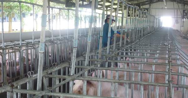 Tăng mạnh ở nhiều nơi