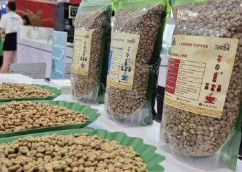 Tăng trở lại, Malaysia mê cà phê Việt